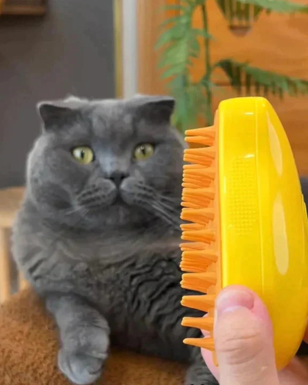 Cepillo de vapor 3 en 1 para Mascotas