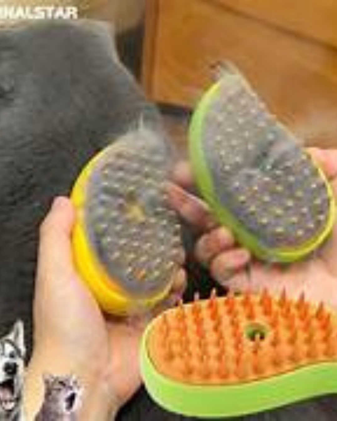 Cepillo de vapor 3 en 1 para Mascotas